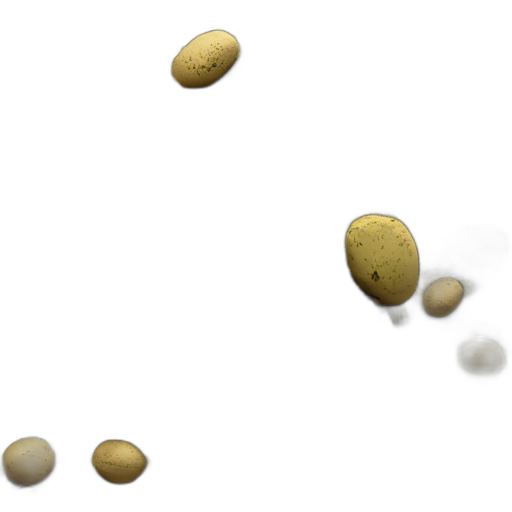 مسحوق نواة الزيتون