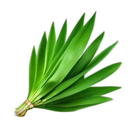 Pandan leaf